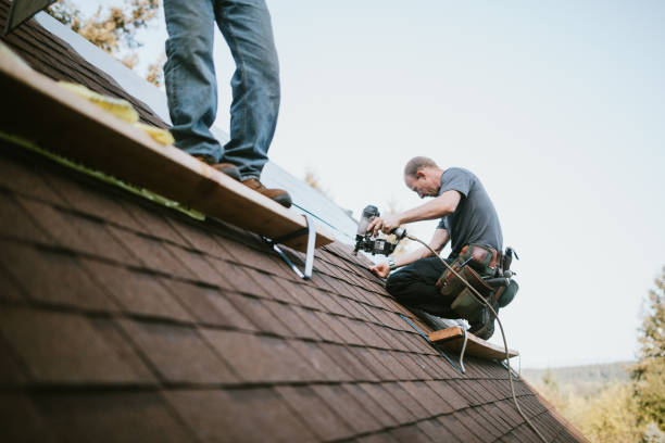 Roof Gutter Cleaning in Emerald Mountain, AL