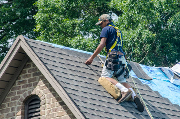 Best Roof Restoration Services  in Emerd Mountain, AL